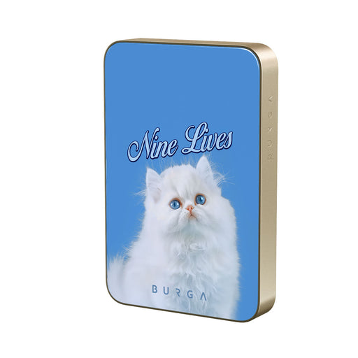 BP_08MS_MagPbank10K-GO