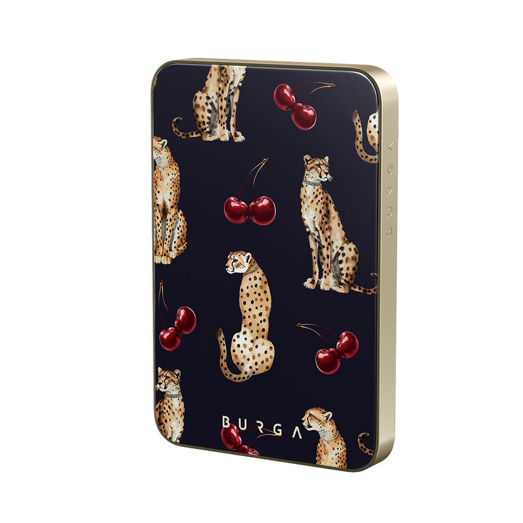 PA_01MS_MagPbank5K-GO