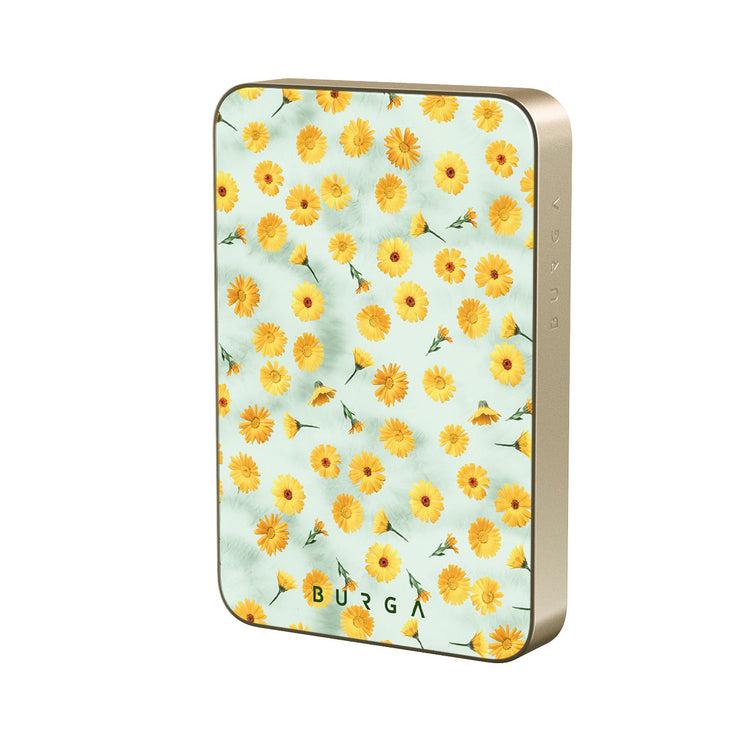 RL_02MS_MagPbank10K-GO