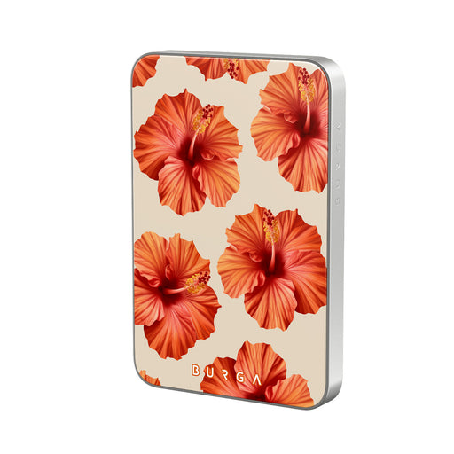 RS_10MS_MagPbank5K-SI