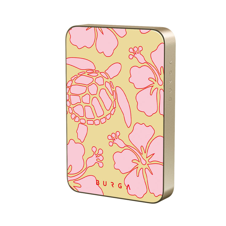 RS_23MS_MagPbank10K-GO