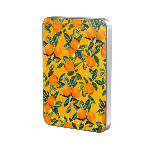 SP_05MS_MagPbank5K-SI